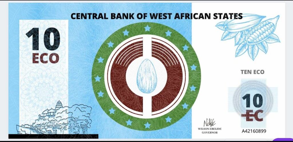 African Union, ECOWAS Suspend Single Currency Plan