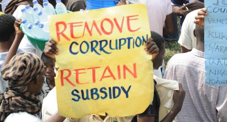 Subsidy Removal: Necessary Reform or Economic Burden