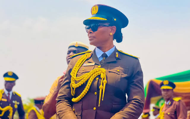 Nigerian Immigration Service Warns Public About Rising Fake Recruitment Advertisements