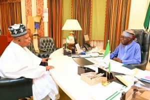 Shettima Briefs Tinubu on State Affairs