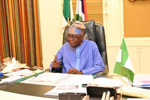 Shettima Briefs Tinubu on State Affairs