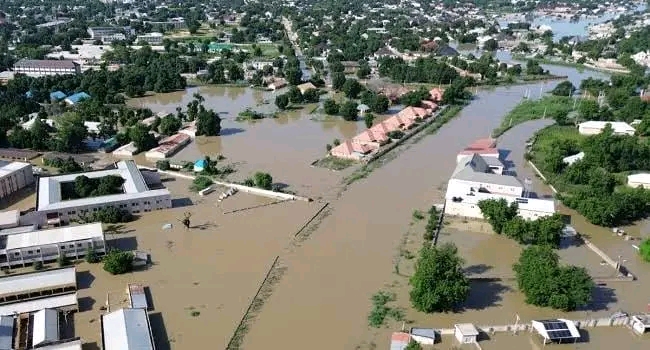 Borno State Government Plans to Demolish Over 1,300 Homes on Riverbanks Without Compensation