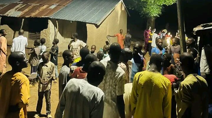 Yobe Villagers Celebrate Solar Streetlight Installation by Federal Government