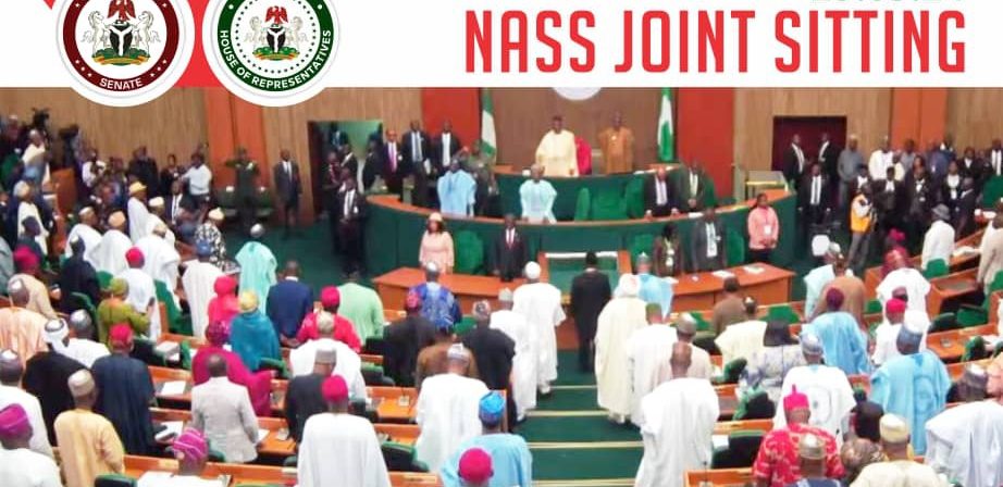 Why Nigerian Lawmakers Must Uphold The Dignity Of Democracy