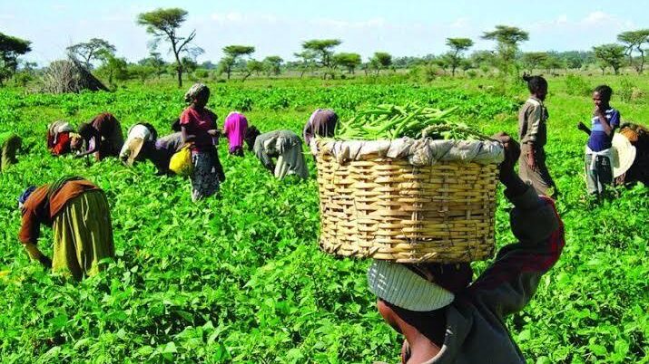Agriculture: ATASP-1 seeks Govt, Private Sector Support for enhanced Productivity
