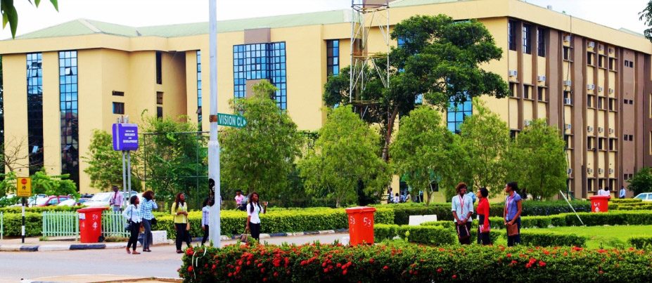 Vice chancellors and their vices
