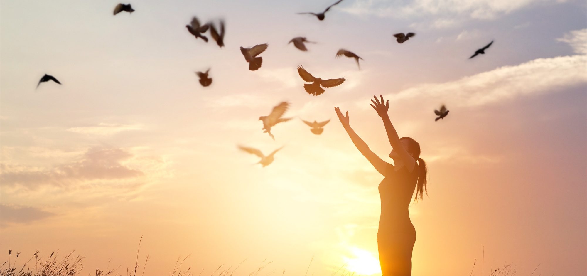Forgiveness: A Path to Healing