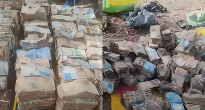 Nigerian Terrorist Flaunts Ransom Payments on TikTok
