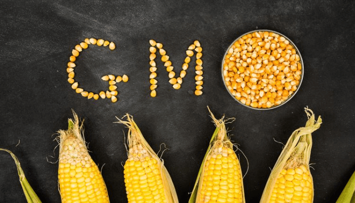 Nigeria Needs To Ban GMO Foods, Crops - Rights Group