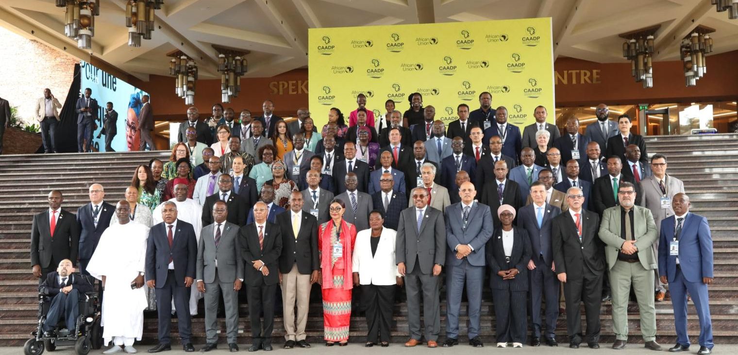 African Union's Summit Leaves Little Hope to Advance Agricultural Transformation in Africa