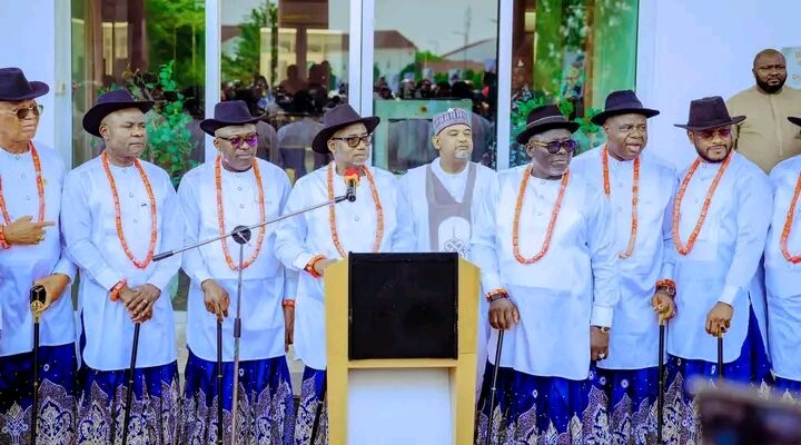 Punches, Betrayals Will Soon Be Over In Our Party - PDP Governors