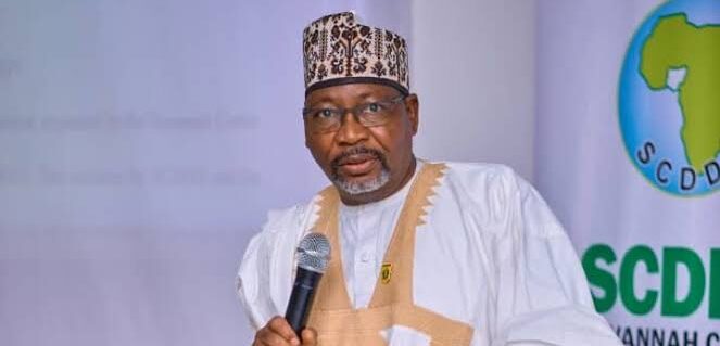 Ex-Army General Calls for New Security Strategy in Northwest Nigeria