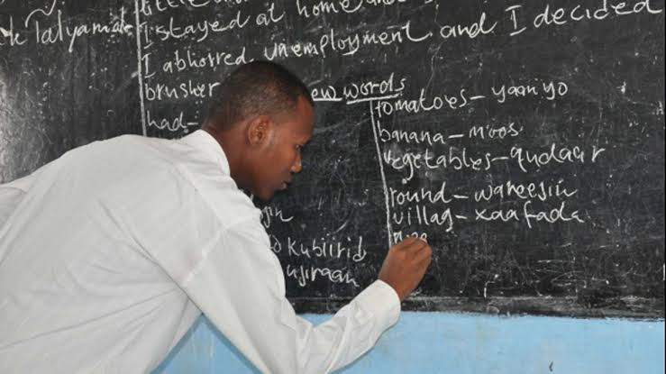 Teachers in FCT Area Councils Collapse Over Non-Payment of N70,000 Minimum Wage
