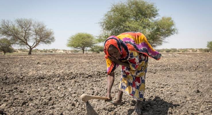 Insecurity in Plateau State Threatens Food Production