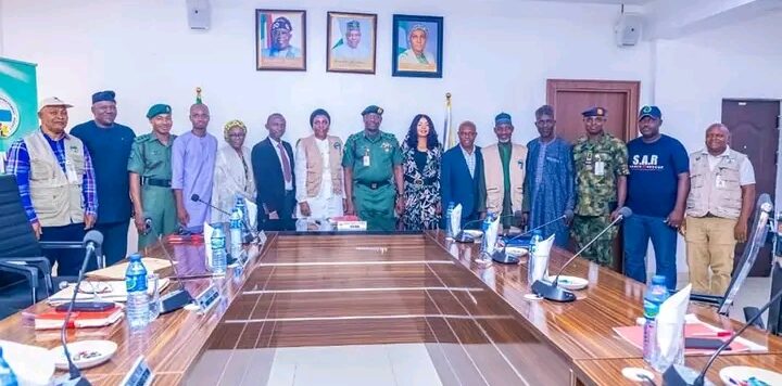NEMA Pledges Support for Rehabilitating Ex-Combatants