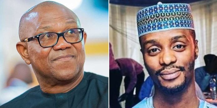 2027: Sai Obi! He Is Coming– El-Rufai’s Son, Bashir Hints on Peter Obi Joining SDP