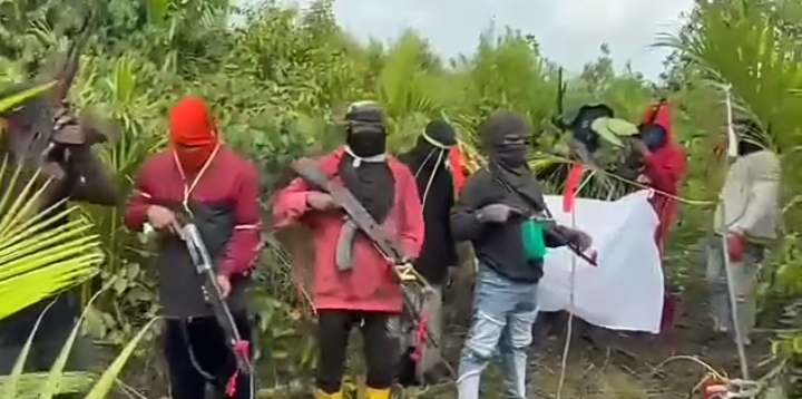 Gunmen Issue Threats to Tinubu and Wike Over Rivers Political Crisis, Order Non-Indigenes to Leave