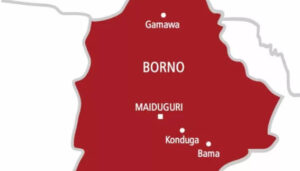 Borno Government Moves to Correct Budget Report After False Rail Project Entry