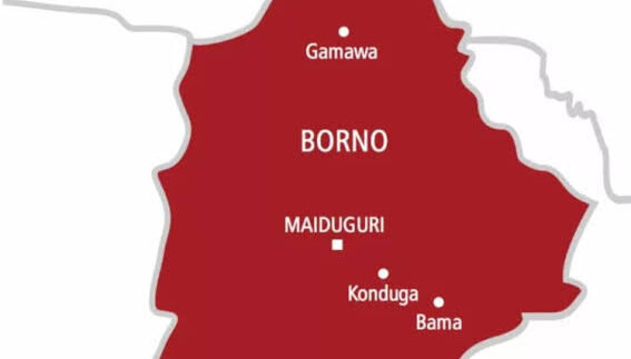 Nigerian Army Kills Top Boko Haram Commander, Rescues Hostage in Borno