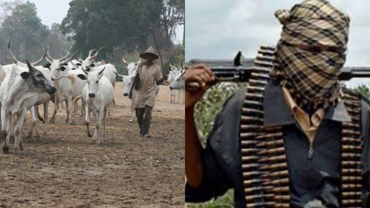 Seven Dead as Suspected Herdsmen Launch Deadly Midnight Attack in Benue