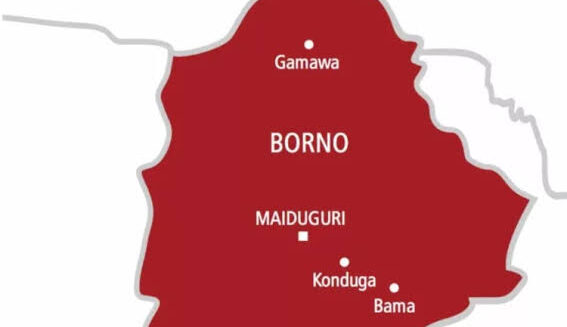 Man Injured in IED Explosion While Collecting Seeds in Borno Village