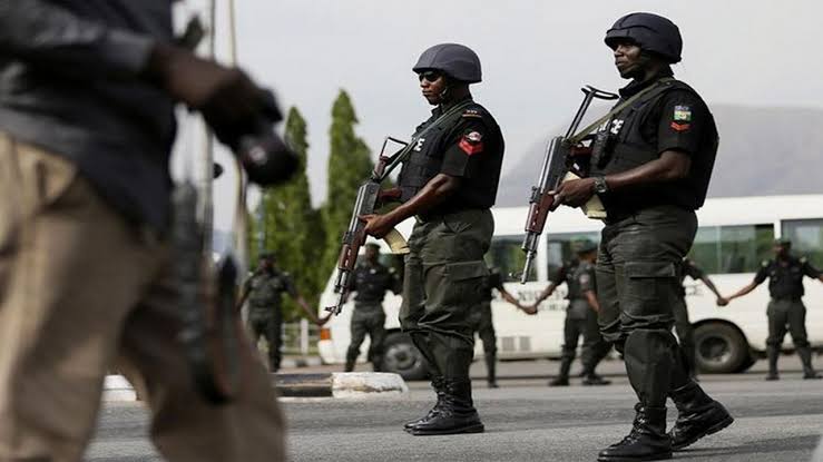 Nigerian Police Recover 27 Stolen Cattle, Rescue Kidnap Victim in Borno