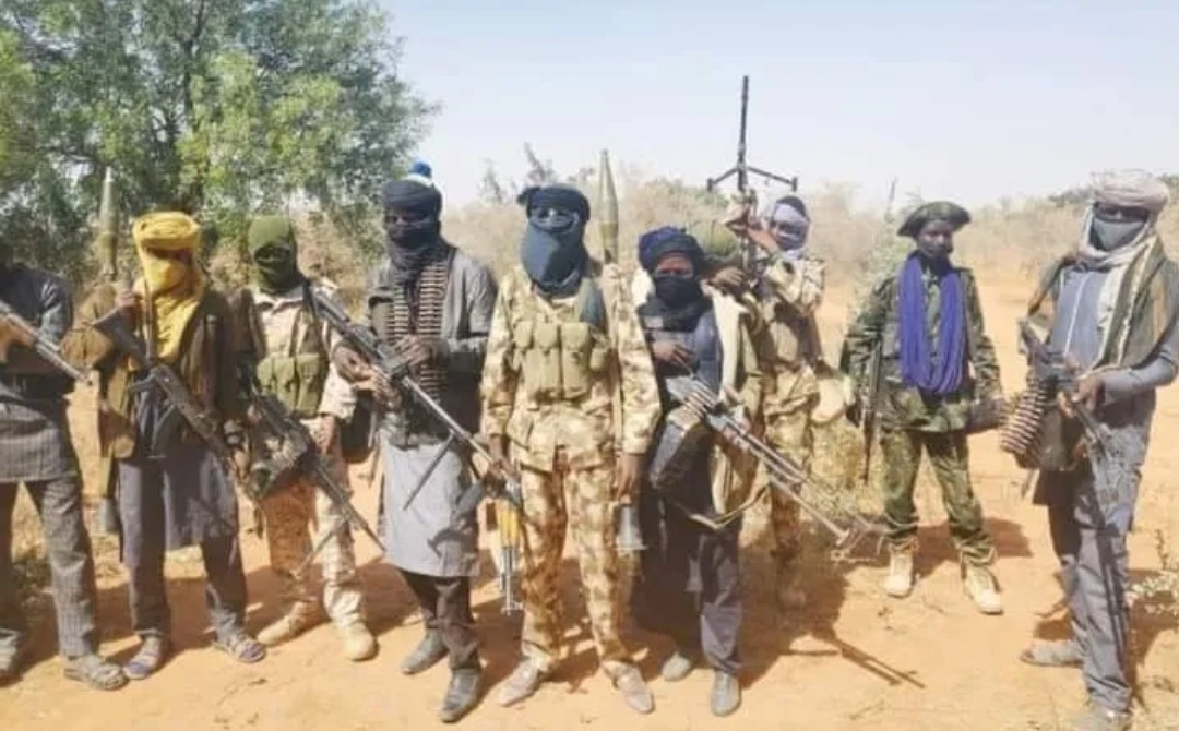 Bloodbaths: Benue Bans Logging