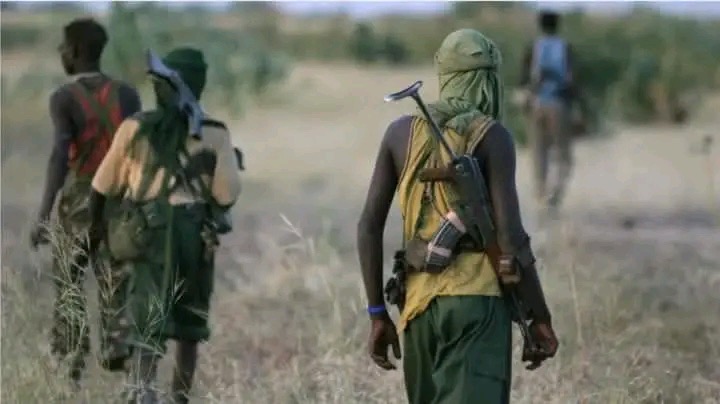 UPDATE: Gunmen Attack Benue Again, Just Two Days After President Tinubu’s Visit