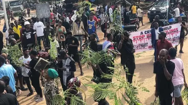 Yelwata Massacre: Armed Herdsmen Want to Take Over Benue ‐Shaakaa