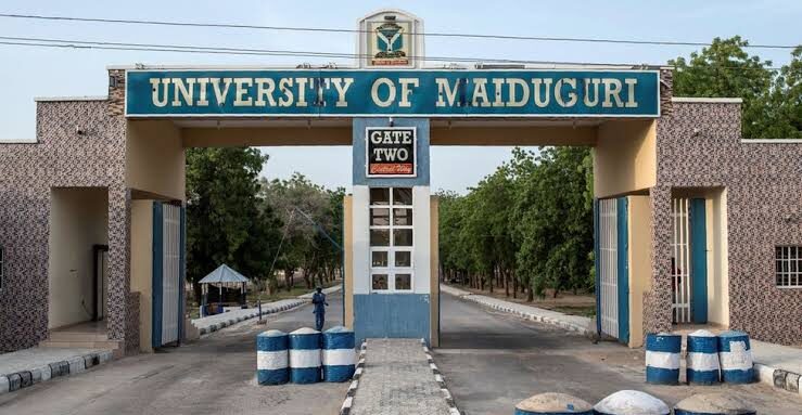 Outrage in Borno Over Renaming of University of Maiduguri