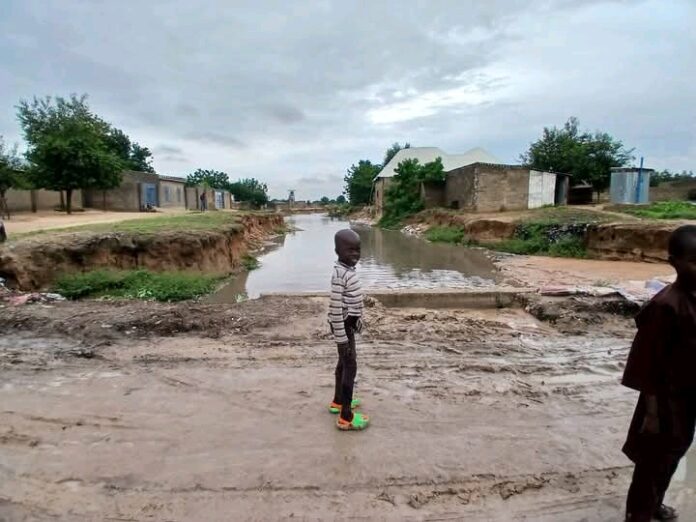 Residents of Old Maiduguri Ward Seek Government Intervention Against Flood Threat
