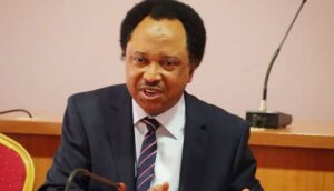Fake Agency Operators Should Have Fled - Shehu Sani