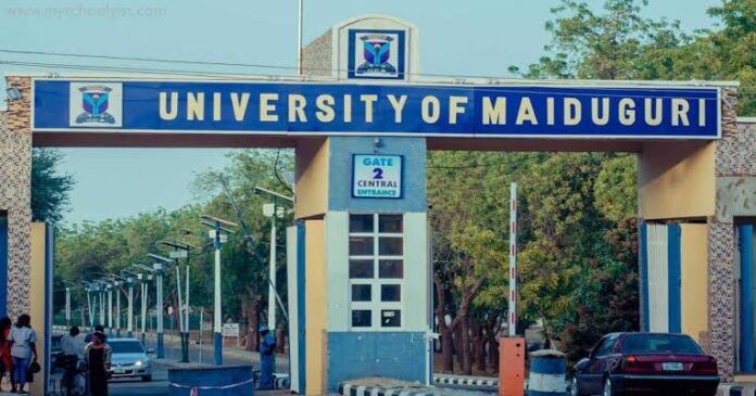 UNIMAID Enforces Mandatory Use of ID Cards for Campus Access