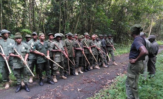 Nigeria Marks World Ranger Day 2025, Launches Forest Guard Initiative