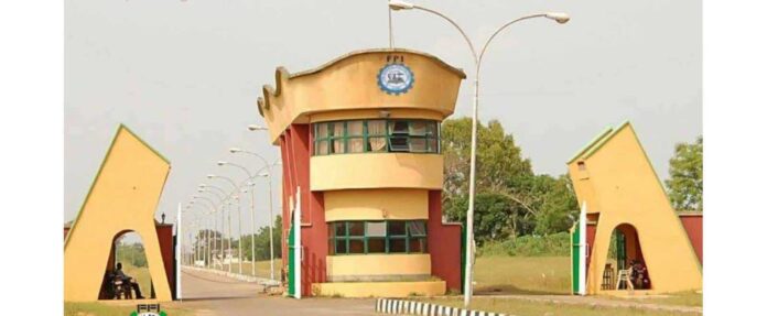 Federal Polytechnic Ilaro Confirms Receipt of N21.6 Million Education Loan Fund Payment