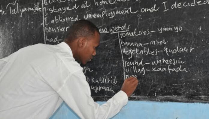Federal Government Launches TRCN Digital Portal to Empower Nigerian Teachers