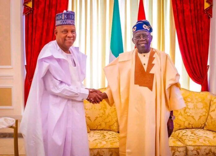 President Tinubu Congratulates Shettima, Others on NES Fellowship Award