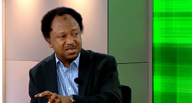 Shehu Sani Reacts to Russia’s Claim of Developing Cancer Vaccine