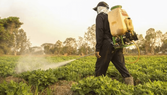 Toxic Subsidies: Why Nigeria Must Rethink Support for Hazardous Pesticides