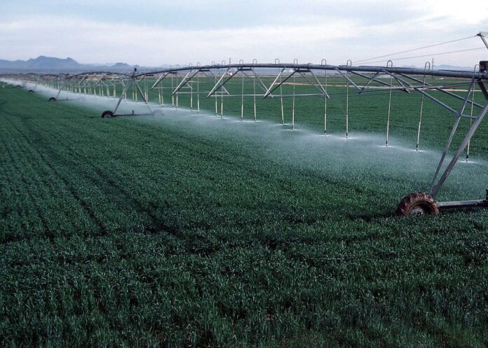 Investors Pivot from Oil to Tech and Agriculture as Market Dynamics Shift
