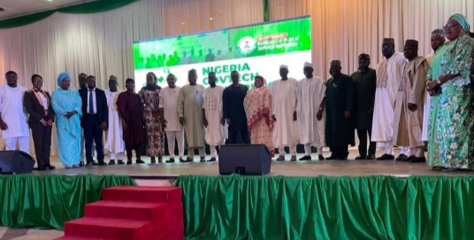Jigawa, Adamawa, and Plateau Governors Win Digital Governors of the Year Awards