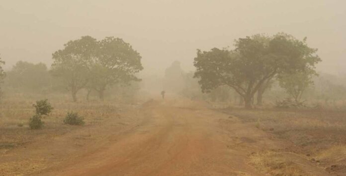 Before the Dust Settles: Staying Healthy as Harmattan Approaches