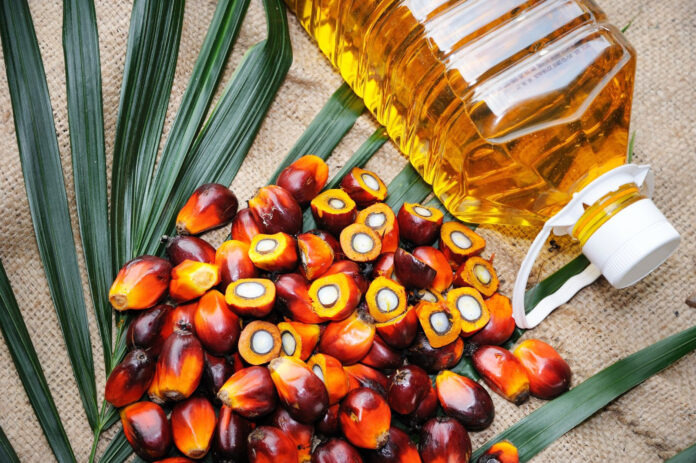 Saturated Oil: The Story of Two Palm Oils