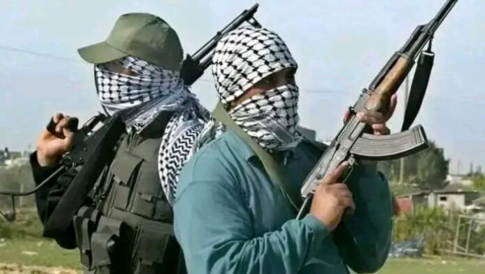 Gunmen Attack Katsina Community, Abduct over 20, Injure Two