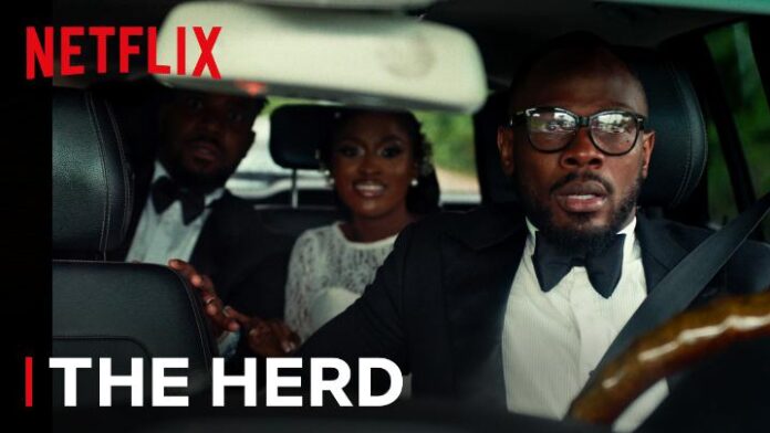 Daniel Etim Effiong’s The Herd Hits ₦188 Million as it Debuts on Netflix
