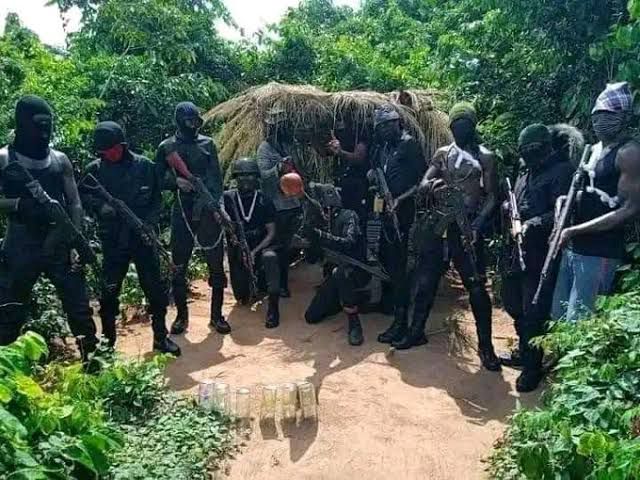 Imo Community Dwellers recount how terror gangs kidnap, butcher, dump victims in pits after ransom payment