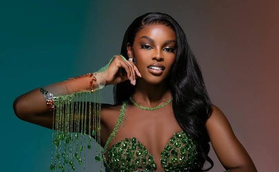 Chidimma Adetshina Breaks Silence on BBNaija 2026 Plan