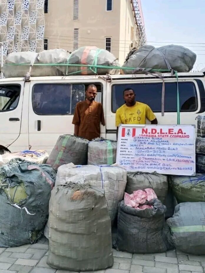 NDLEA Seizes 7.6 Million Tramadol Pills, 76,000kg of Cannabis in Nationwide Raids