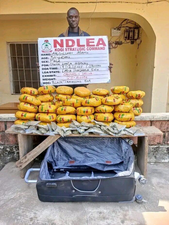 NDLEA Intercepts Italy-Bound Opioids, Arrests Cocaine Kingpin, in Nationwide Raids