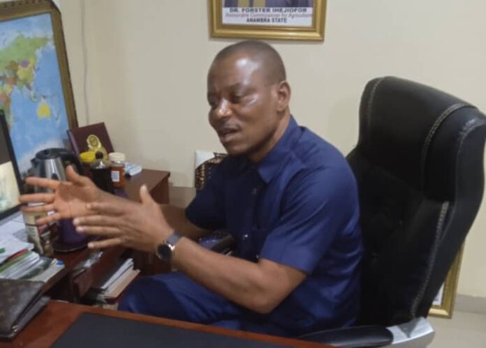 Anambra Government earmarks N200m for procurement, distribution of endangered Igbo traditional Fruit Trees